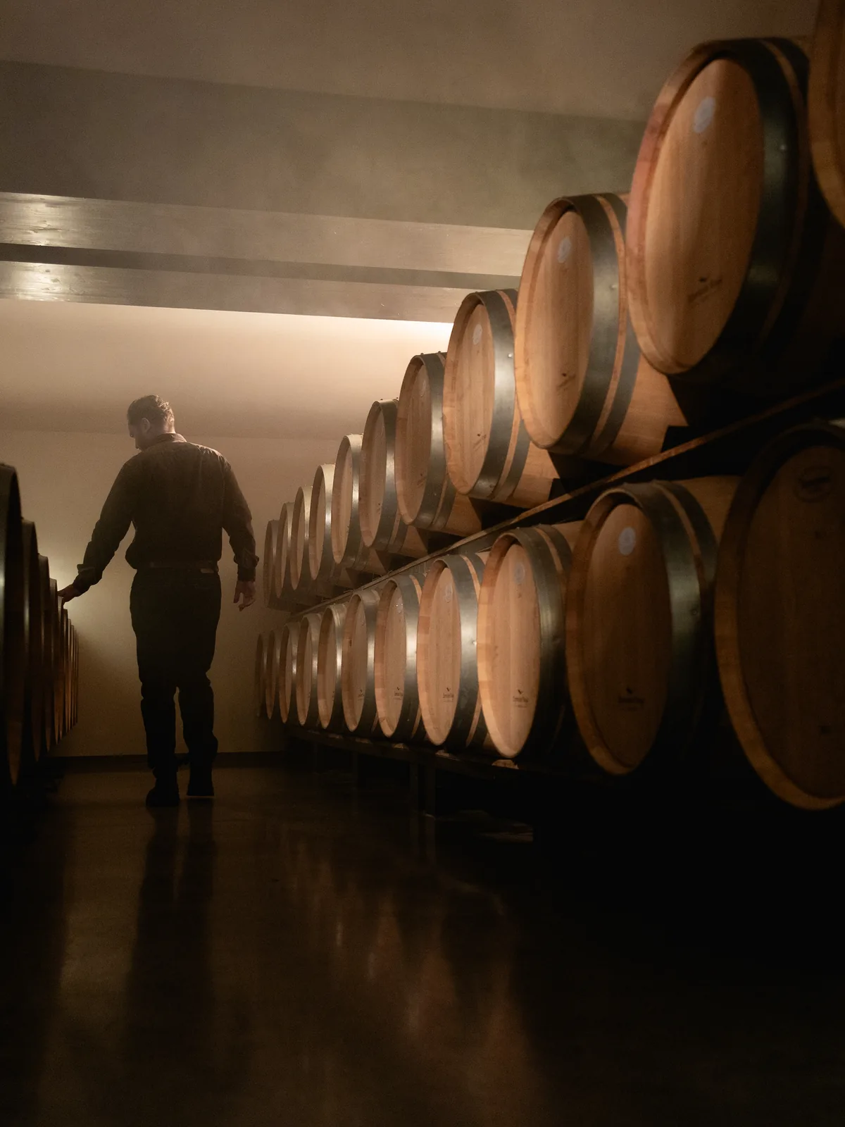 Le chai à barriques du Château de Clotte